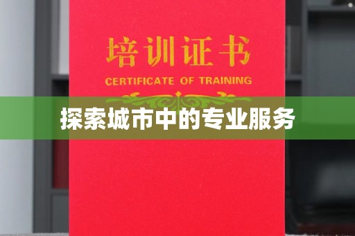 深圳探索城市中的专业服务