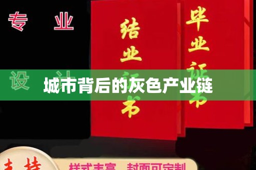 深圳城市背后的灰色产业链