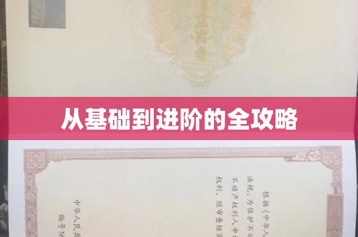 深圳从基础到进阶的全攻略